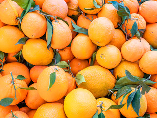 Beautiful background of oranges, coming from organic cultivation