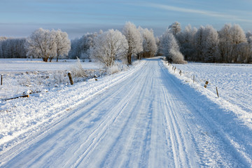Fototapeta na wymiar snowy road, Podlaskie region, Poland