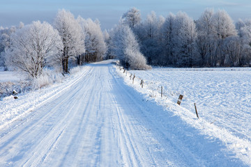 Fototapeta na wymiar snowy road, Podlaskie region, Poland