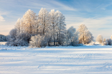 winter landscape, Podlaskie region, Poland