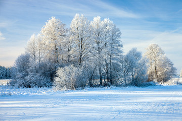 Fototapeta na wymiar winter landscape, Podlaskie region, Poland