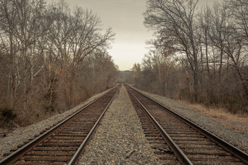Fototapeta na wymiar Railroad tracks receding into the distance between bare trees