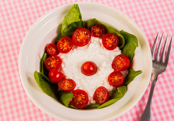 Cottage Cheese Salad with Cherry Tomatoes on Pink Gingham BG