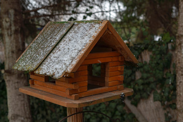 Vogelhaus im Winter bei leichtem Schneefall