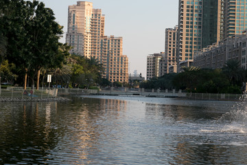 Pond in City