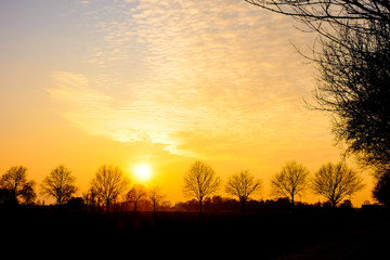 Colorful and dramatic sunrise or sunset in a countryside landscape with tree silhouettes