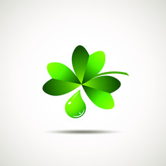 clover leaf with a drop