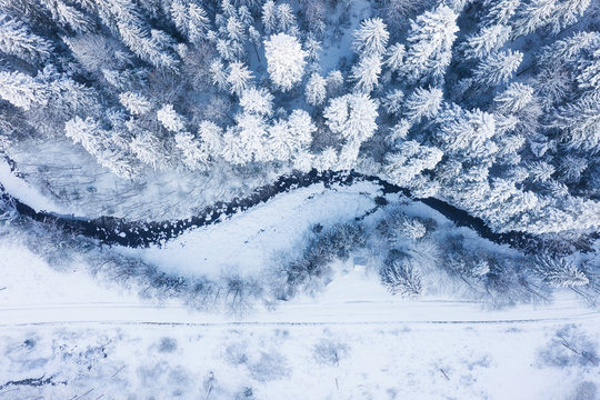 Aerial view on the river and forest at the winter time. Natural winter landscape from air. Forest under snow a the winter time. Landscape from drone