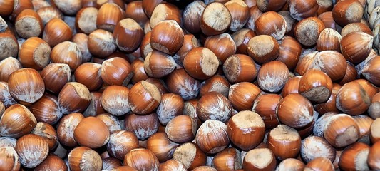 Makro von Haselnuessen in der Schale