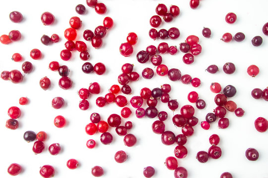 Red Cranberry Fruit on white background