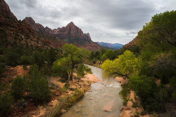 The Virgin River leading toward the 'Watchman' mountain, Zion National Park, UT