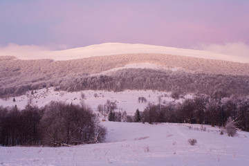 View to Polonina Wetlinska (Wetlinska Clearing), Bieszczady Mountains, Bieszczady National Park, Carpathians Mountains, Poland