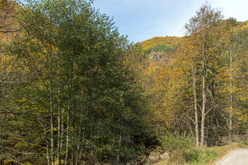 Fototapeta premium Autumn view of Ecotrail Struilitsa and Devin River gorge, Smolyan Region, Bulgaria