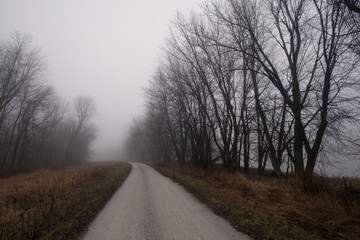 Obraz premium Road to Nowhere