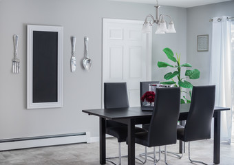 Modern dining room with black table and green plant