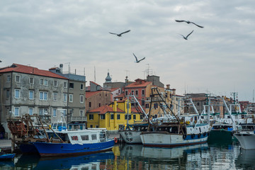 Chioggio, Italy: fishing boats in harbor with town in background
