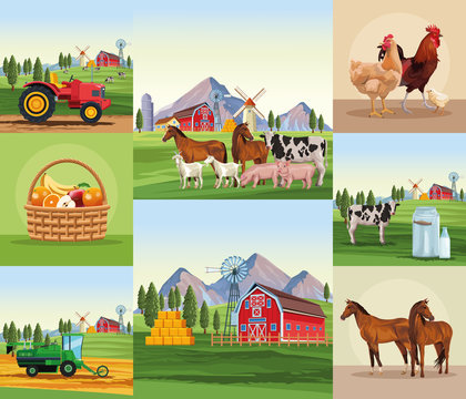 Farm cartoons set