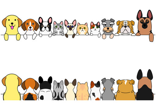 dogs and cats border set, front side and back side