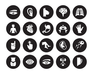 20 vector icon set : Human Eyebrow, Excretory system, Eye with lashes, variant enlarged pupil, Female hips and waist isolated on black background