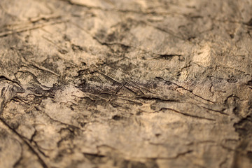 Blurred abstract background texture of the old surface color of copper. Cropped shot, close-up, horizontal, blurred