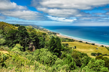 A favorite surfing spot on the Australian Pacific coast in Apollo Bay.