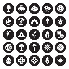 25 vector icon set : Cypress, Almond, Alstroemeria, Anemone, Anthurium, Cannabis, Birch, Baobab, Bergamot, Chestnut, Cliff, Clover isolated on black background.