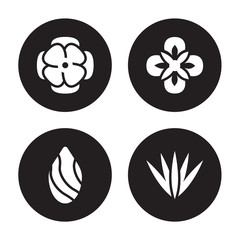 4 vector icon set : Anemone, Almond, Alstroemeria, Acicular isolated on black background