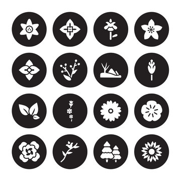 16 vector icon set : Jonquil, Forest, Freesia, Gardenia, Geranium, Flower, Hydrangea, tea, Hills isolated on black background