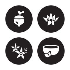 4 vector icon set : Oak, Neroli, Nymphea, natural medical pills isolated on black background