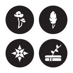 4 vector icon set : Poppy, Poinsettia, Poplar, plant growing on book isolated black background