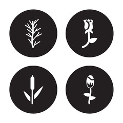 4 vector icon set : Rosemary, Reed, Rose, Protea isolated on black background