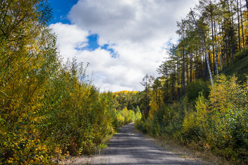 Beautiful autumn in the mountains East of Russia Khabarovsk Region. Autumn in the forest in a mountain region of Khabarovsk region of Russia.