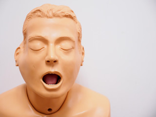 Closeup detail of a medical simulation mannequin head used for practicing anesthetic techniques. Healthcare and education.