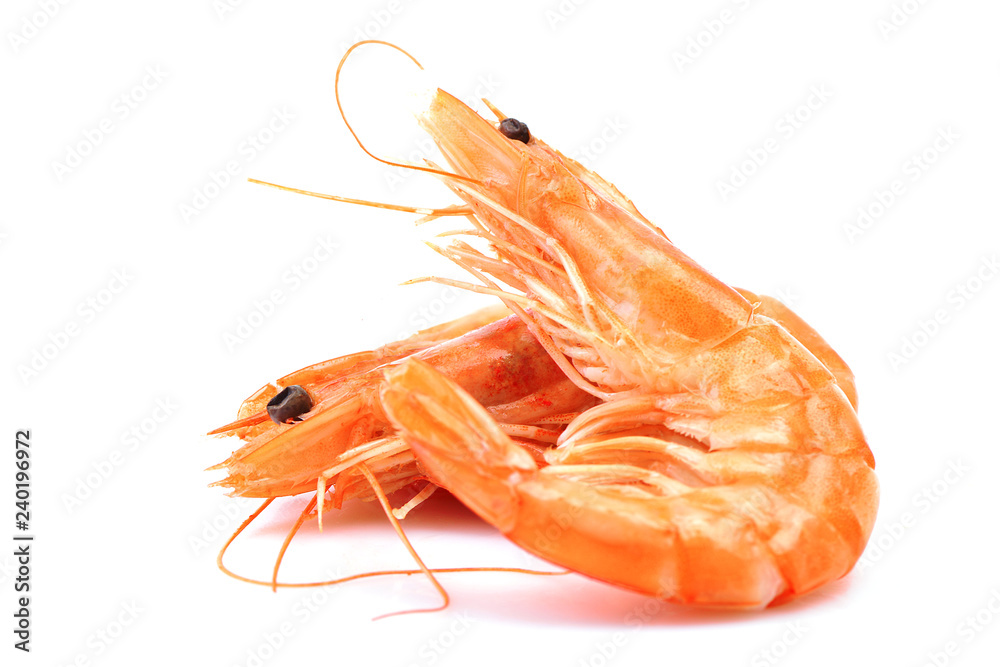 Canvas Prints shrimp on white background