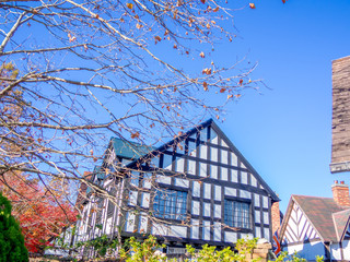 【静岡県伊豆市】秋のテーマパークの風景【プラタナス・修善寺虹の郷】