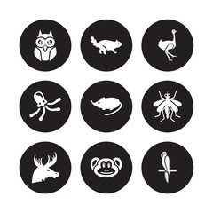 9 vector icon set : Owl, Otter, Moose, Mosquito, Mouse, Ostrich, Octopus, Monkey isolated on black background
