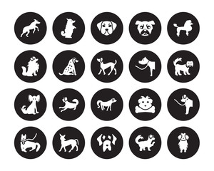 20 vector icon set : Rhodesian Ridgeback dog, Maltipoo Mastiff Mexican Hairless Dog Mudi Poodle dog isolated on black background
