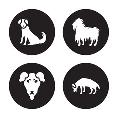 4 vector icon set : Berger Picard dog, Beauceron Bergamasco Beagle dog isolated on black background