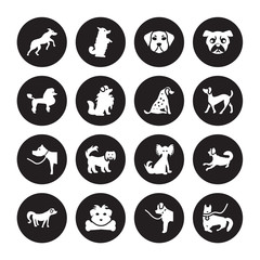 16 vector icon set : Rhodesian Ridgeback dog, Newfoundland Norfolk Terrier Nova Scotia Duck Tolling Retriever Otterhound Mudi Poodle dog isolated on black background