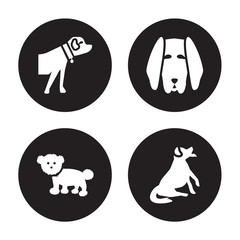 4 vector icon set : Boerboel dog, Bichon Frise Bloodhound Bernese Mountain dog isolated on black background