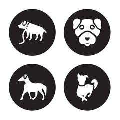 4 vector icon set : Boxer dog, Borzoi Boston Terrier Border Collie dog isolated on black background