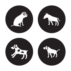 4 vector icon set : Bulldog, Brittany dog, Bull Terrier Bracco Italiano dog isolated on black background