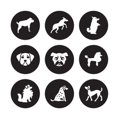 9 vector icon set : Rottweiler dog, Rhodesian Ridgeback Pomeranian Poodle Pug Pumi Puggle Pointer dog isolated on black background