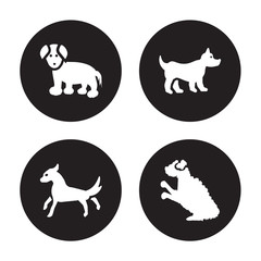4 vector icon set : Coton De Tulear dog, Cocker Spaniel Corgi Cockapoo dog isolated on black background