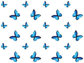 Colorful butterfly isolated on white background, blue wings insects flying. Pattern logo geometric. Bug polygonal crystal style.