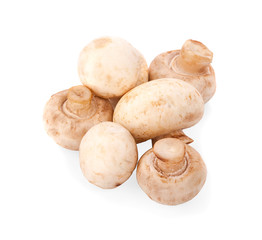 Champignon mushroom isolated on white background