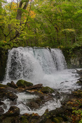 Powerful Waterfall in Northern Japan