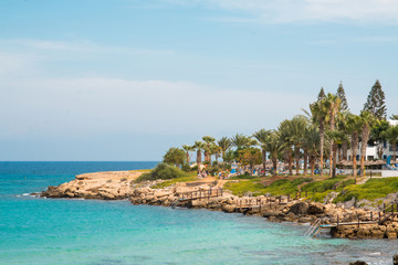 Coast Line on Cyprus with Mediterranean Sea and Palm Tree.