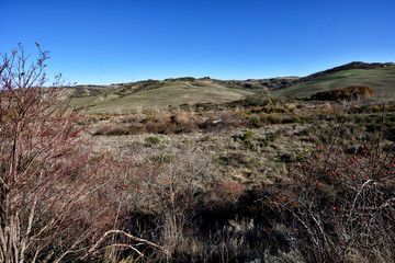 landscape in the mountains