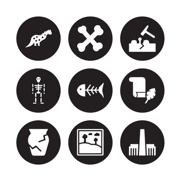 9 vector icon set : Dinosaur, Bone, Ancient jar, Papyrus, Fishbone, Geological, Skeleton, Artwork isolated on black background